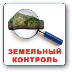 Комитет по управлению муниципальным  имуществом Администрации Вашкинского муниципального округа.